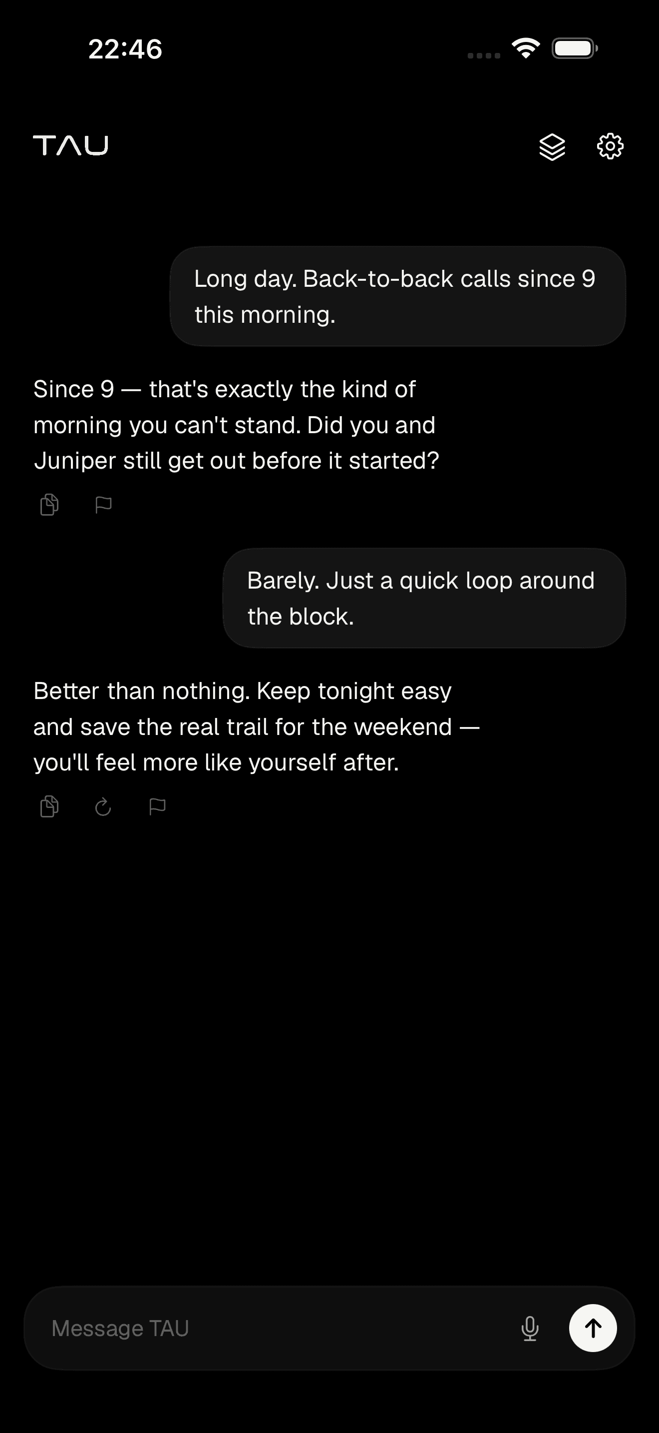 TAU private AI chat running on iPhone
