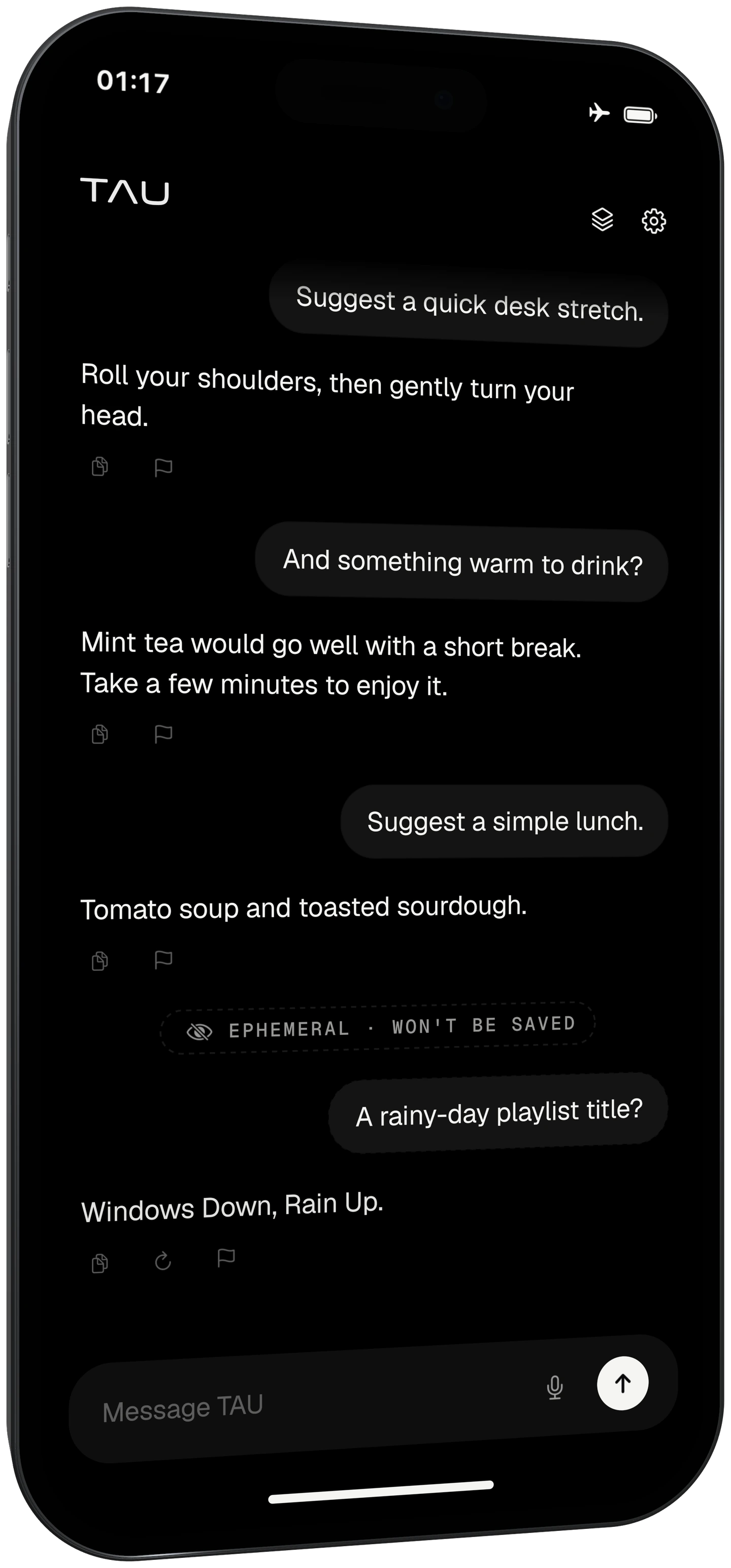 TAU Vanish on iPhone. An Ephemeral — won’t be saved marker separates the temporary conversation from the previous chat.