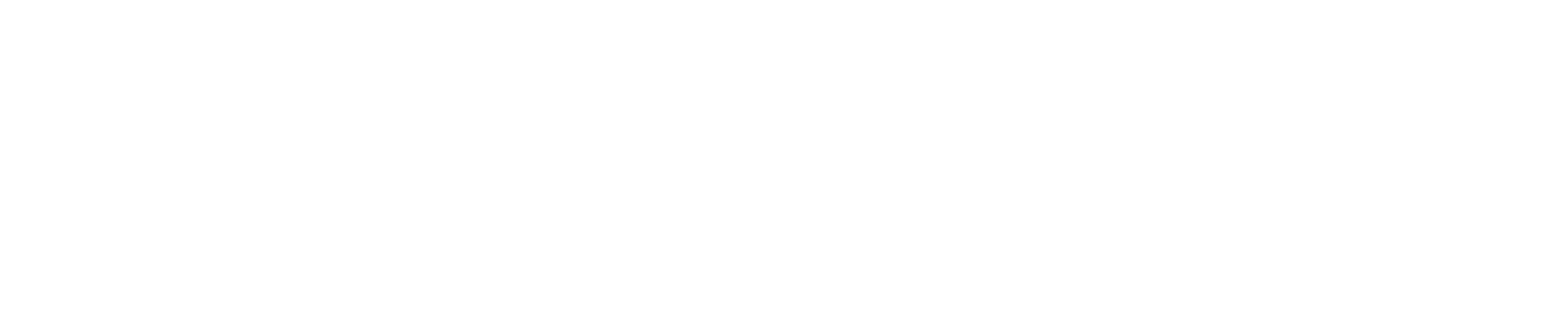 Vecorps